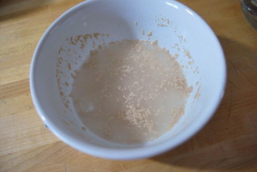 dissolved yeast