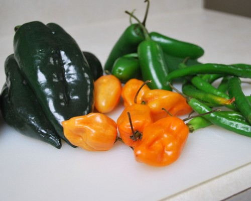 Habaneros, jalapenos, poblanos and long hot peppers were available at the grocery store.