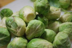 Peel the outer layer off and rise the sprouts again.