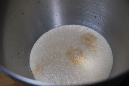 Getting the yeast all bubbly