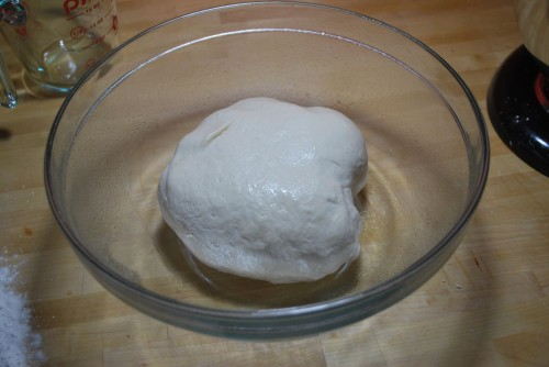 Dough just out of the mixer