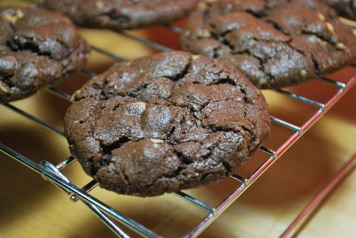 These cookies are perfect with coffee or just a giant glass of milk.