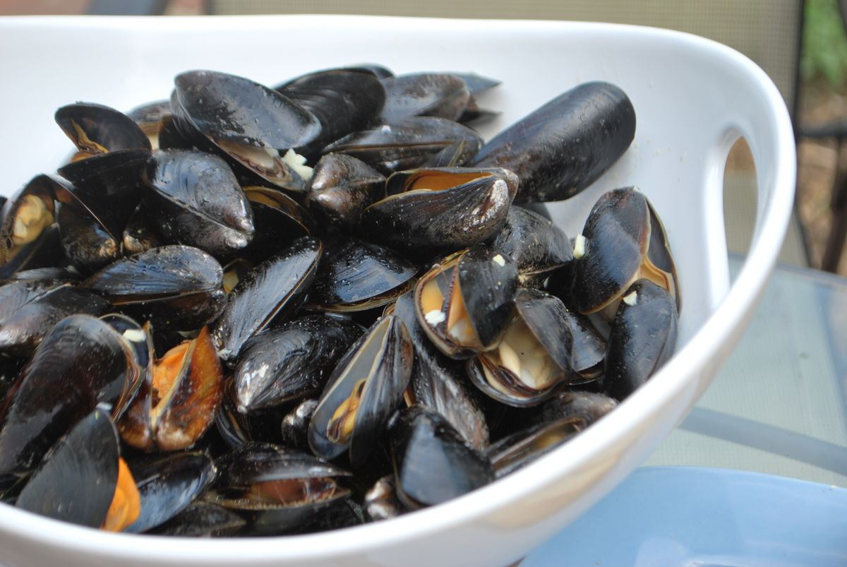 Time to Mussel Up!