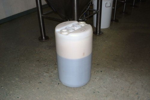 The finished beer in the fermenting barrel.