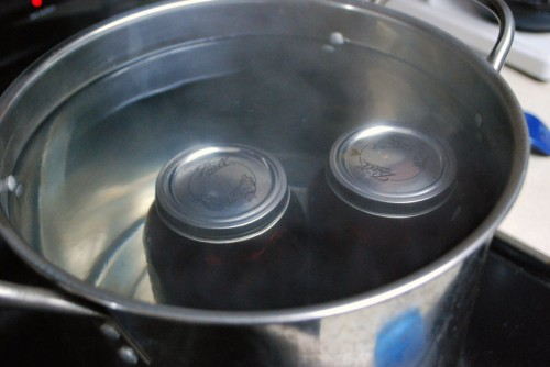 When processing the jars, make sure you have boiling water and that the jars are completely submerged.