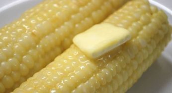 Perfect Corn