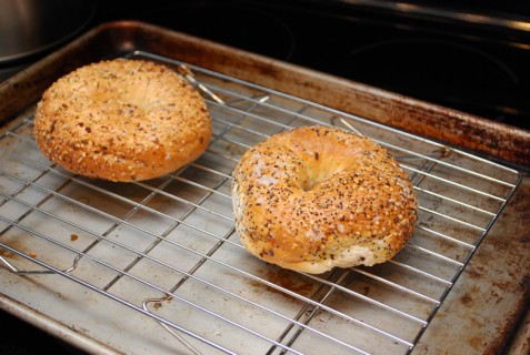 Place the frozen bagel on a rack