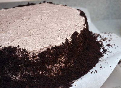Surround the cake with the crushed oreos.