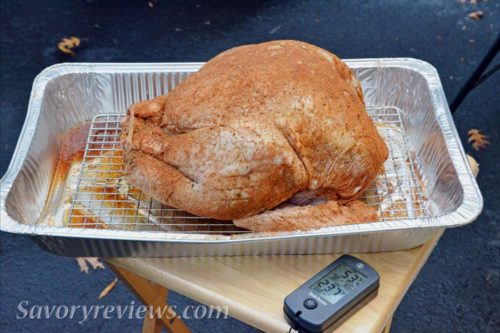 Evenly Rubbed Turkey