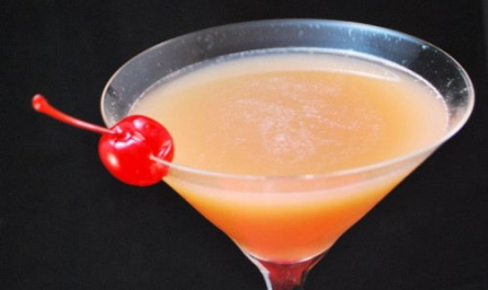 The Rumster Cocktail - Rum Orange Juice Cranberry Martini