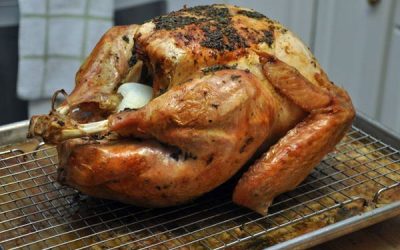 Thanksgiving Tools and Equipment - Turkey with Thermapen